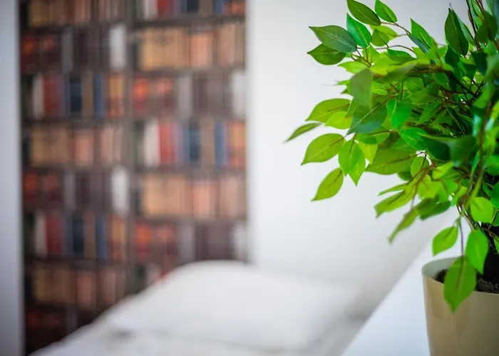 Jm Lubicz 10 Kraków